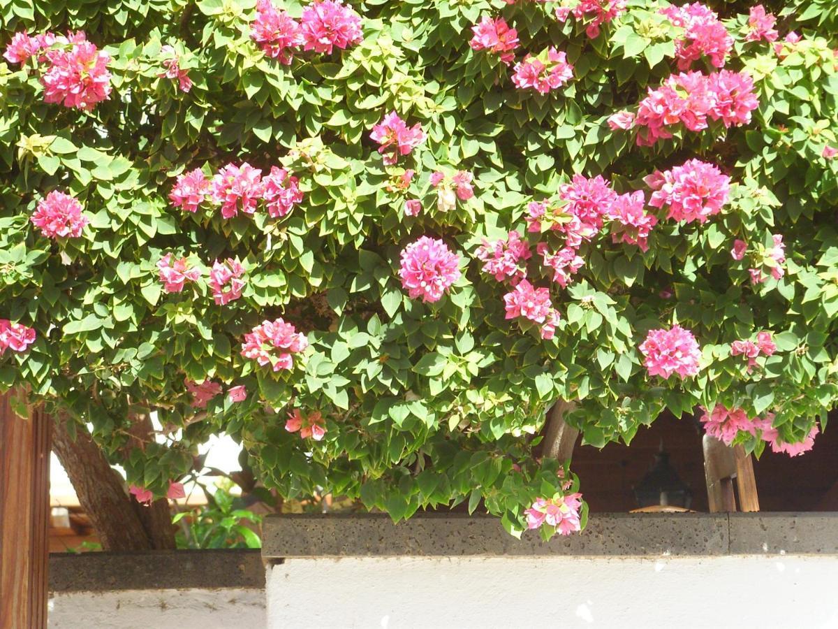Casa La Tahonilla Apartment Tias Luaran gambar